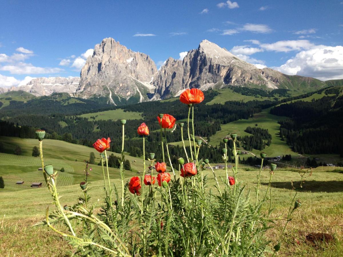 Binterhof Alpin Deluxe App Villa Castelrotto Exterior foto