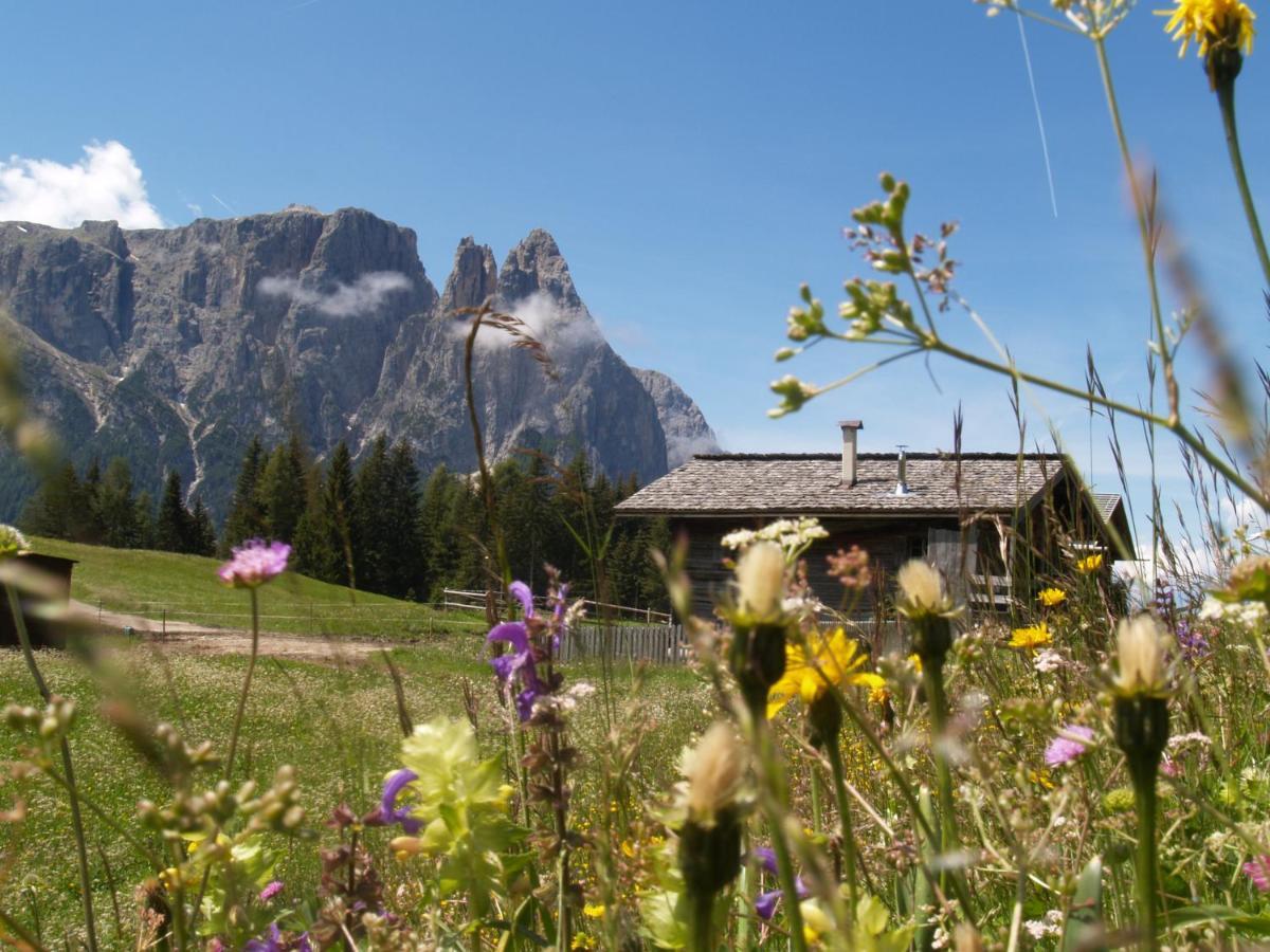 Binterhof Alpin Deluxe App Villa Castelrotto Exterior foto